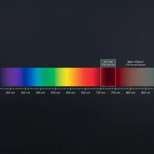 What is the wavelength of far-red light?